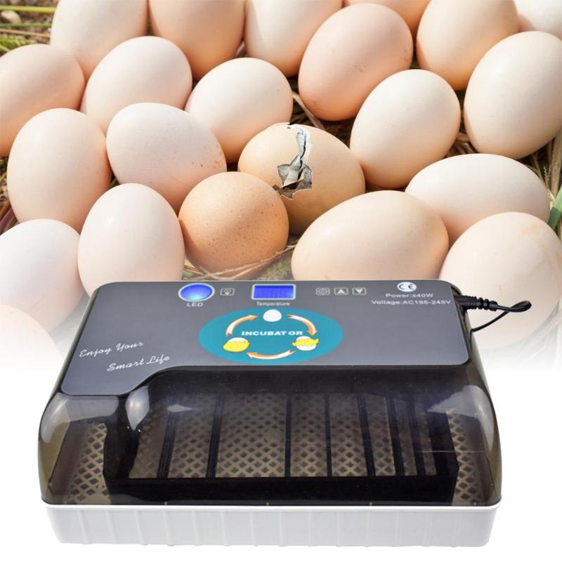 Newest Best Farm Hatchery Machine Automatic Egg Incubator Hatcher Egg Brooder For Chicken Duck Quail Eggs - ebowsos