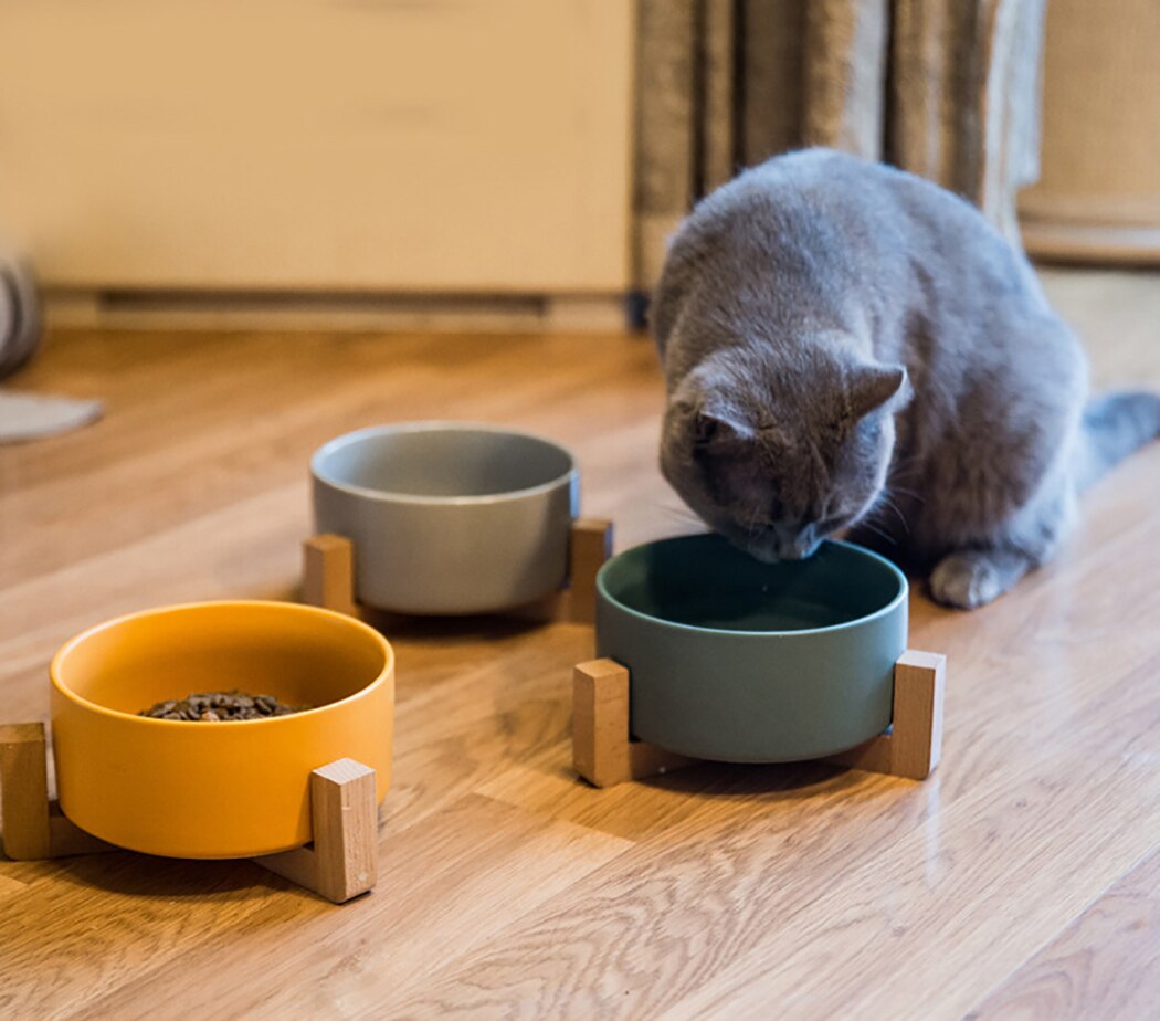 Pet Ceramic Bowls With Non-Slip Wooden Stand Pet Food Water Bowl For Cats Dogs Pet Feeder Cat Dog Feeding Supplies New Arrive-ebowsos