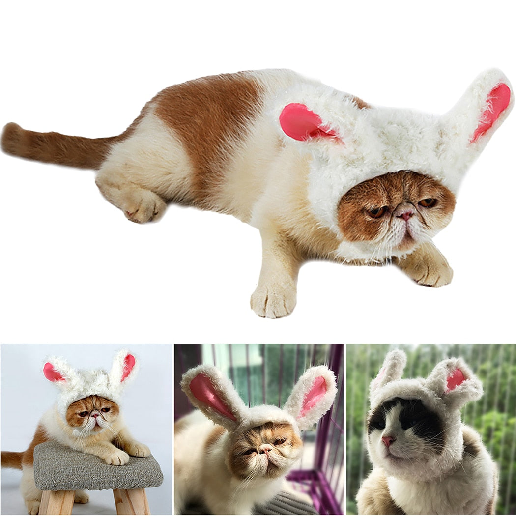 Pet Wig Funny Decorative Big Furry Rabbit Ears Pet Costume Wig Kitten Wig Ornament Rabbit 2019 New Arrive-ebowsos