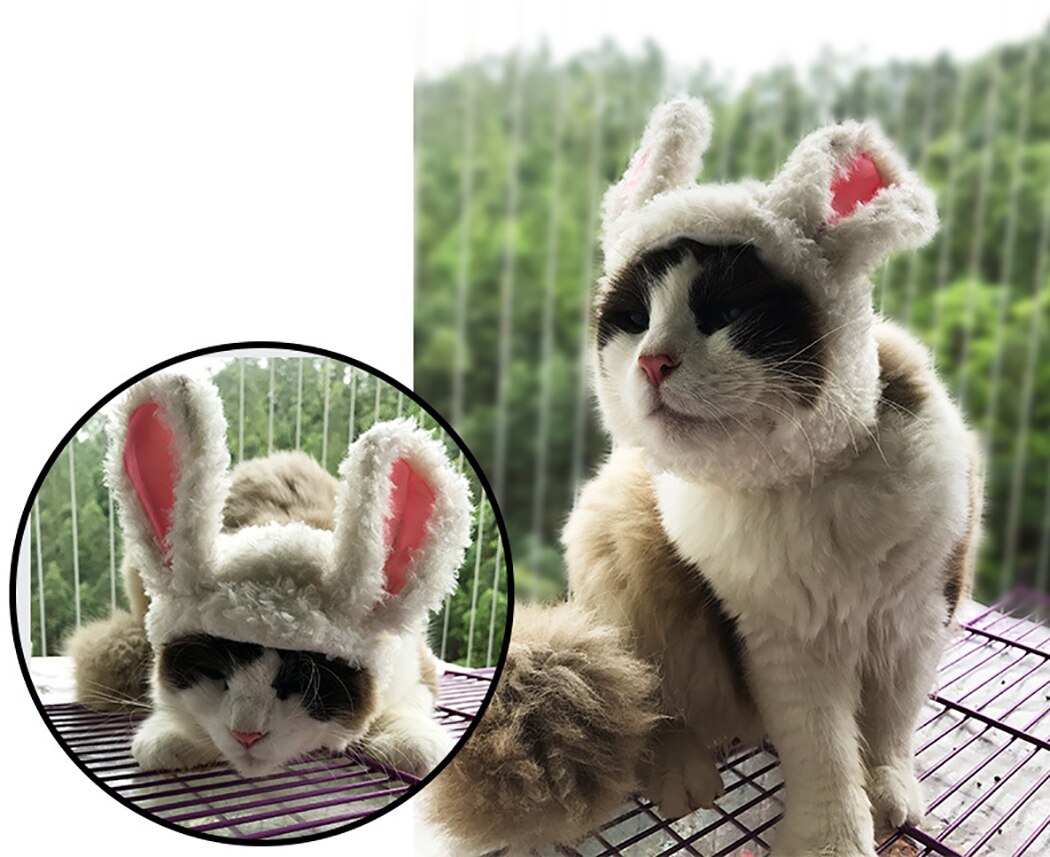 Pet Wig Funny Decorative Big Furry Rabbit Ears Pet Costume Wig Kitten Wig Ornament Rabbit 2019 New Arrive-ebowsos