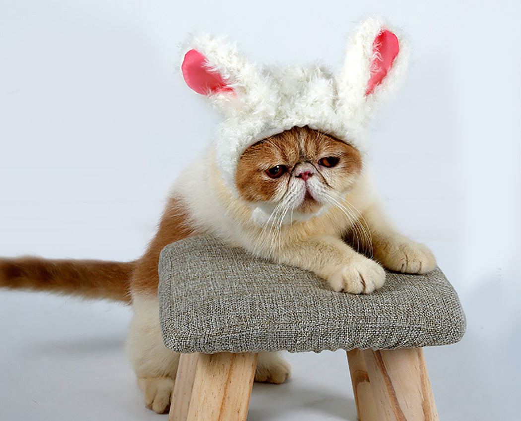 Pet Wig Funny Decorative Big Furry Rabbit Ears Pet Costume Wig Kitten Wig Ornament Rabbit 2019 New Arrive-ebowsos