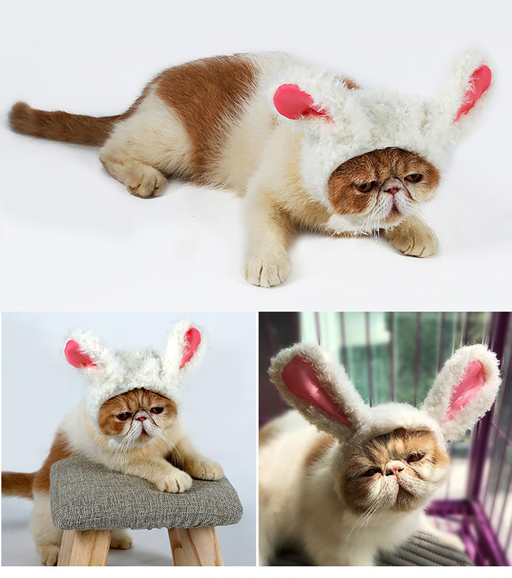 Pet Wig Funny Decorative Big Furry Rabbit Ears Pet Costume Wig Kitten Wig Ornament Rabbit 2019 New Arrive-ebowsos