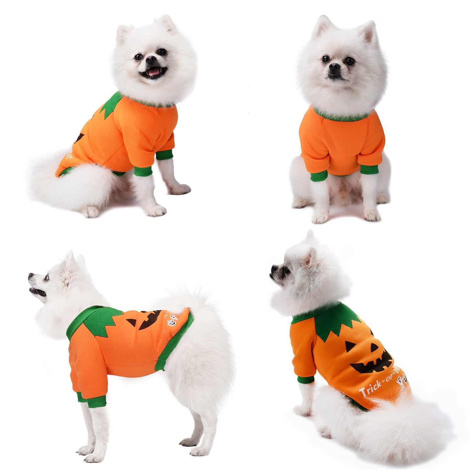 Pure Cotton Pet Costume Novelty Pumpkin Pet Apparel Cat Dog Costume Dog Sweatshirt For Halloween Party Cosplay Dropshipping-ebowsos