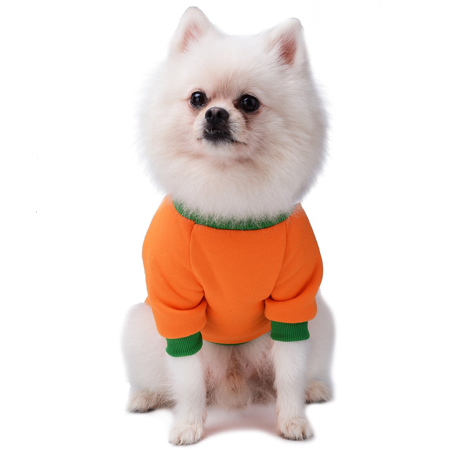 Pure Cotton Pet Costume Novelty Pumpkin Pet Apparel Cat Dog Costume Dog Sweatshirt For Halloween Party Cosplay Dropshipping-ebowsos