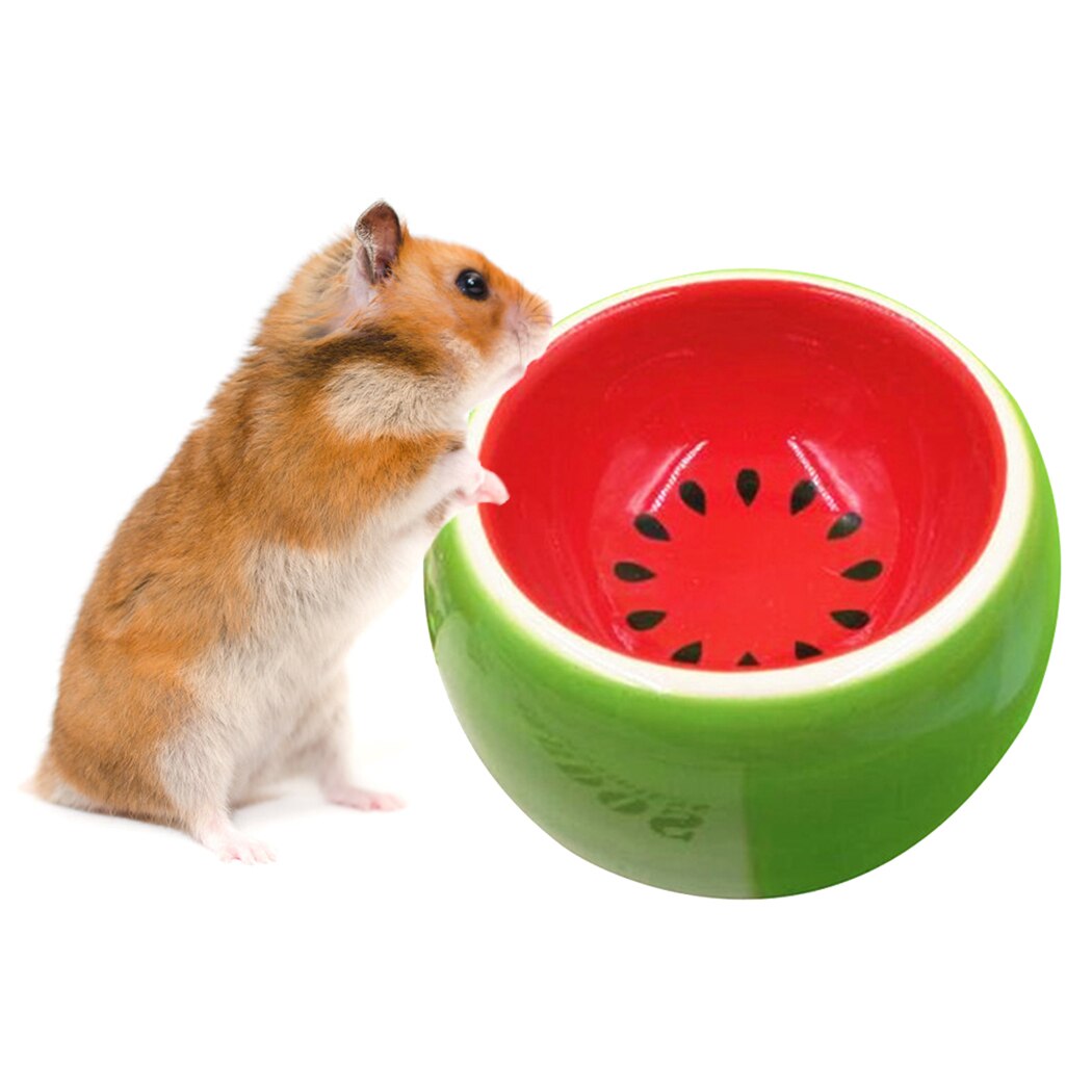 Small Pet Ceramic Bowls Creative Cute Fruit Pattern Bowl Pet Water Food Bowl For Hamster Chinchilla Rabbit Pet Feeding Supplies-ebowsos