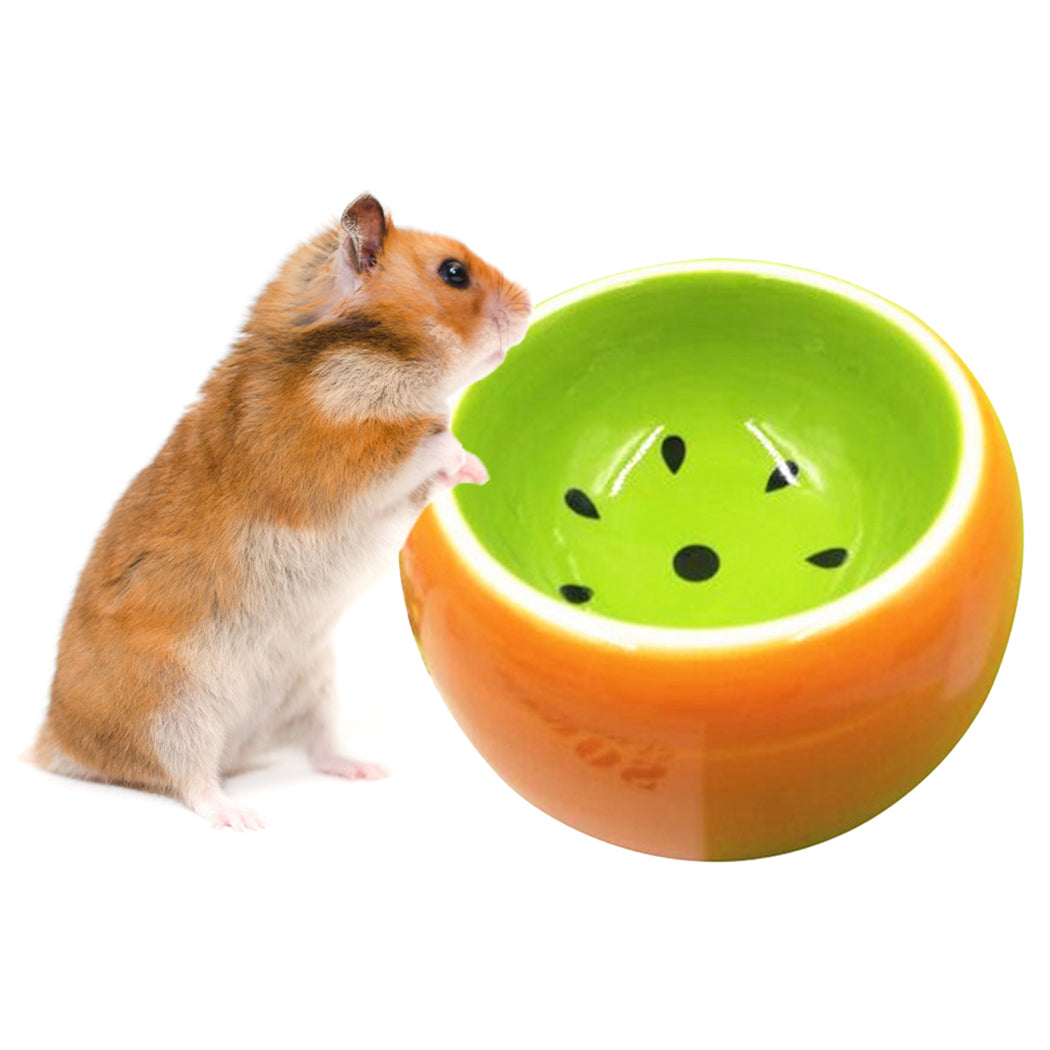 Small Pet Ceramic Bowls Creative Cute Fruit Pattern Bowl Pet Water Food Bowl For Hamster Chinchilla Rabbit Pet Feeding Supplies-ebowsos